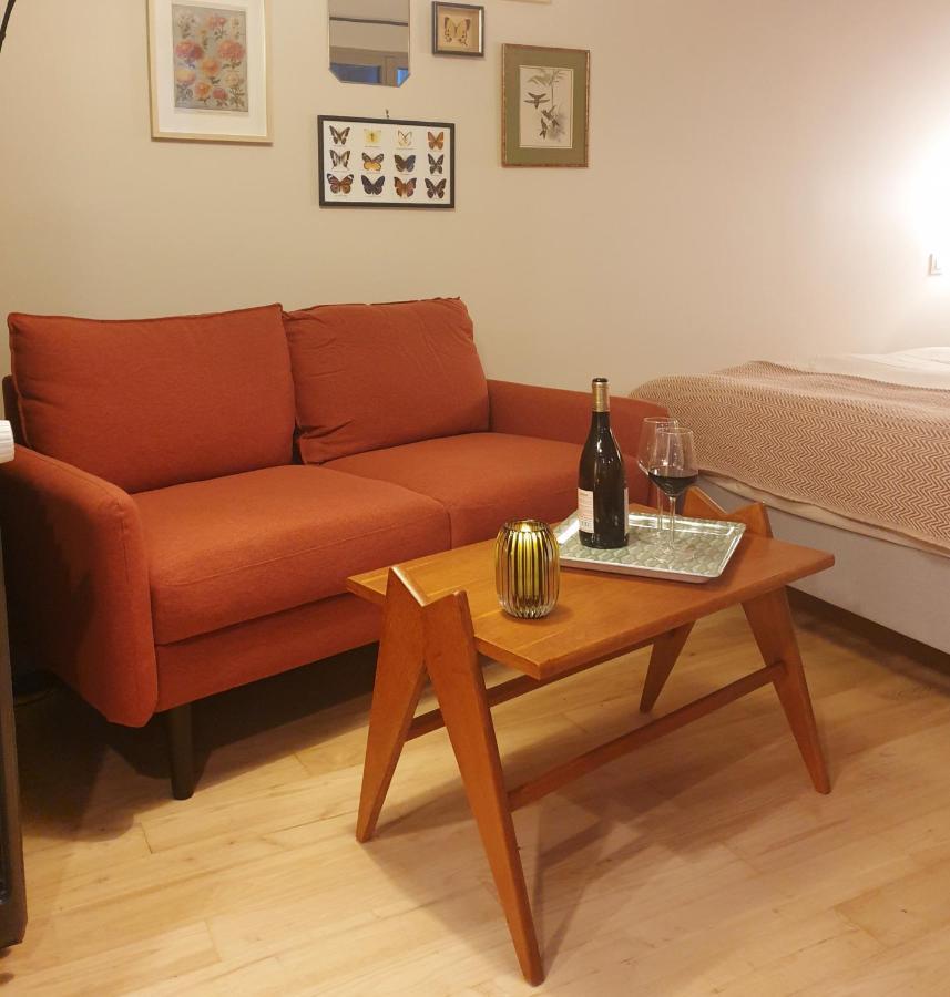 Maisonnette Cosy Coeur Centre Avec Accueil Velo Сомюр Экстерьер фото